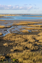 View north to East Head across Snowhill creek and saltmarshes with stands of Cord grass (Spartina sp.), near West Wittering, Chichester Harbour, Hampshire, UK. February.