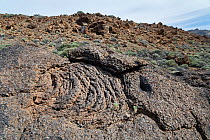 Cooled Pahoehoe lava, Teide National Park, Tenerife, Canary Islands, October.