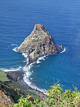 Roque de Tierra, an important site for rare seabird breeding colonies, Anaga Rural Park, Tenerife, Canary Islands, Atlantic Ocean, November.