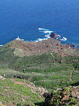 Footpath leading to Faro de Anaga lighthouse and Roque Bermejo, next to Atlantic Ocean, Anaga Rural Park, Tenerife, Canary Islands, November.