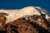 View of snow capped Chimborazo, highest stratovolcano reaching 6263 metres.  Chimborazo, Ecuador. January 2020.