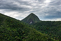 View of Bocaina mountain range.  Serra da Bocaina National Park, Rio de Janeiro, Brazil.
