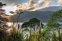 View of ManaguaBbay, an 8 kilometre long and 2 kilometre wide ria.  Paraty Mirim State Park, Paraty, Rio de Janeiro, Brazil.