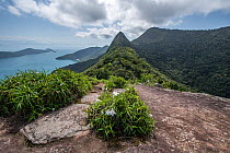 View from ridge of Managua Bay, a 8 kilometre long and 2 kilometre wide ria. Paraty Mirim State Park, Paraty, Rio de Janeiro, Brazil.