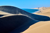 Wind blowing over coastal sand dunes of the Namib Desert, Sandwich Harbour RAMSAR site, Namib-Naukluft National Park, Namibia.