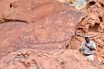 Guide explaining 2000 year old rock carvings of animals made by by the San/Bushman people, Twyfelfontein UNESCO World Heritage Site, Kunene Region, Namibia.