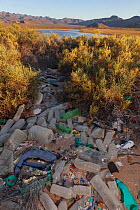 Plastic garbage on beach in La Mona estuary.  Bahia de los Angeles Biosphere Reserve, Sea of Cortez, Mexico. April.