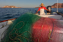 Fisherman going out to fish with fishing net in designated area in fishing refuge corridor to maintain sustainable fishing.  El Pardito Island, Islands of Gulf of California Protected Area, Sea of Co...