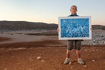 Scientist holding image of Elegant tern (Thalasseus elegans) breeding colony in normal year in front of empty breeding site showcasing the effect of climate change and overfishing.   Rasa Island Spec...