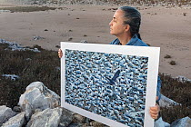 Scientist holding image of Elegant tern (Thalasseus elegans) breeding colony in normal year in front of empty breeding site showcasing the effect of climate change and overfishing.  Rasa Island Speci...