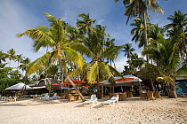 Deckchairs and parasols on beach among Palm trees, Alona Vida Beach Resort, Alona Beach, Panglao Island, South Bohol, Philippines, Pacific Ocean.