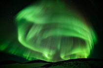 Aurora borealis over hillside, Myvatn lake, Iceland, March, 2022.