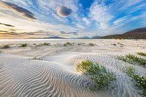 Sand dunes on Seilebost beach looking towards Luskentyre, Isle of Harris, Outer Hebrides, Scotland, UK. September, 2022.