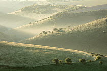 View over Melbury Down on a misty morning from Compton Down, Cranborne Chase, Dorset, England, UK. May, 2021.