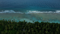 Aerial shot of island in South Ari Atoll showing palm trees growing close to coast. The waves can be seen breaking. Maldives.