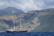 Offshore Wylde Swan, fast sailing vessel, 63 metres long with 269 gross tonnage, originally built in Germany in 1920 as steam ship, designed to work with herring fleet.   Dominica, Caribbean Sea, Atl...