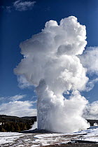 Old Faithful Geyser erupting in winter, Yellowstone National Park, Wyoming, USA. February, 2022.