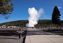 Crowd of tourists watching Old Faithful Geyser eruption, Yellowstone National Park, Wyoming, USA. September, 2022.