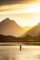 Paddle boarder on the Snake River at the Ox Bow at sunset, Grand Teton National Park, Wyoming, USA. October, 2021.