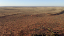 Aerial tracking shot of Spinifex (Spinifex sp.) grass covered red desert sand dunes, Australian Outback, South-West Queensland, Australia.