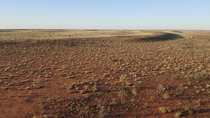 Aerial tracking shot of Spinifex (Spinifex sp.) grass covered red desert sand dunes, Australian Outback, South-West Queensland, Australia.
