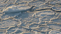 Pancake ice floes slowly colliding with each other, Atka Bay, Antarctica.