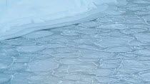 Panning shot of Ice shelf and pancake ice floes colliding with each other, Atka Bay, Antarctica.
