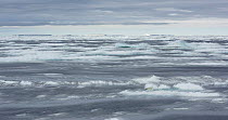 Broken sea ice floes floating in and out of Atka Bay, Antarctica. Timelapse created from stacked stills.