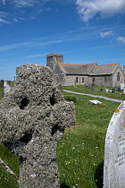 Sea ivory lichen (Ramalina siliquosa) on gravestone in churchyard, Tintagel, Cornwall. June.