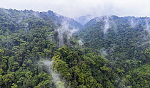 Low cloud drifting over Cloud forest in Refugio del Quetzal Park, San Marcos, Guatemala. April, 2022.