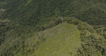 Aerial tracking shot of deforested hillside. The drone pulls away from the hillside, revealing the landscape. Area located within the densely forested area of Namosi Province, Viti Levu, Fiji.