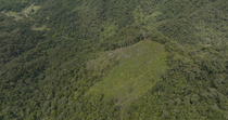 Aerial shot of deforested hillside. Area located within the densely forested area of Namosi Province, Viti Levu, Fiji.