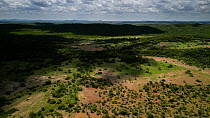 Aerial tracking shot over bushland with shadows made by cloud, Limpopo Valley, Mapungubwe National Park, Limpopo Province, South Africa.