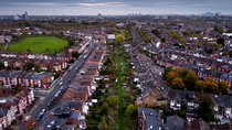 Aerial tracking shot over allotment, North London, UK. October. Allotment is frequented by Red foxes (Vulpes vulpes).