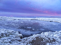 Tarn covered in ice on the summit of Red Screes covered by hoar frost at sunrise, looking towards the Scafell range, Lake District, Cumbria, UK. December, 2021.