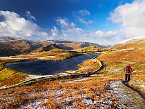 Hiker walking towards Alcock Tarn on the side of Fairfield fell in winter, Lake District, Cumbria, UK. January, 2022.