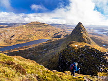 Hiker walking along the mountain ridge on Suilven, Assynt, Scotland, UK. October, 2022.