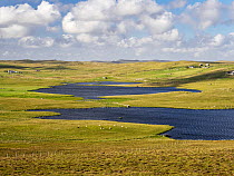 The Loch of Kirkigarth and Kirkidale next to the hamlet of Walls, Shetland, Scotland, UK. June, 2022.