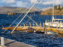 Two sinking sailboats attached to a jetty that was blown over by Storm Arwen, Lake Windermere, Lake District, Cumbria, UK. December, 2021.