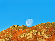 The moon setting over Todd Crag, Ambleside, Lake District, Cumbria, UK. November, 2021.