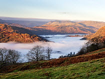 View over the Langdale Pikes with mist in the valley bottoms, Lake District, Cumbria, UK. December, 2021.