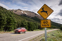 Road sign indicating presence of South Andean deer (Hippocamelus bisulcus) within national park.  Cerro Castillo National Park, Chile. December.