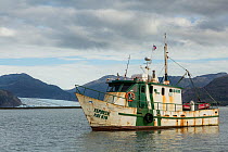 Ranger's boat in Bernardo Fjord with glacier in background.  Bernardo O'Higgins National Park, Patagonia, Chile. February.