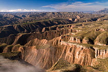 Landscape of Guadix geological depression within Los Colorados desert habitat, with Sierra Nevada National Park in background.  Guadix depression, Andalusia, Spain. February.