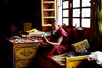 Old lama reading inside Drepung Monastery, founded in 1416,  one of largest Tibetan Buddhist monasteries,  Tibet, China.