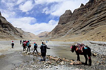 Pilgrims performing kora, pilgrimage circuit, around sacred Mount Kailash. Tibet, China.