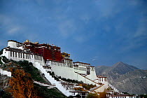 View of Potala palace, Dzong fortress.  Lhasa, Tibet, China.