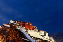 View of Potala palace, Dzong fortress, at nightfall.  Lhasa, Tibet, China.