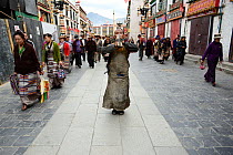 Penitent praying in middle of busy street in Barkhor kora, pilgrimage circuit in old centre of Lhasa.  Lhasa, Tibet, China.