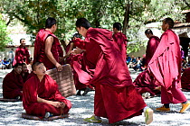 Buddhist monks in Dialectics Courtyard, where monks debate and discuss religious topics, in Sera Monastery, founded in 1419. Tibet, China.